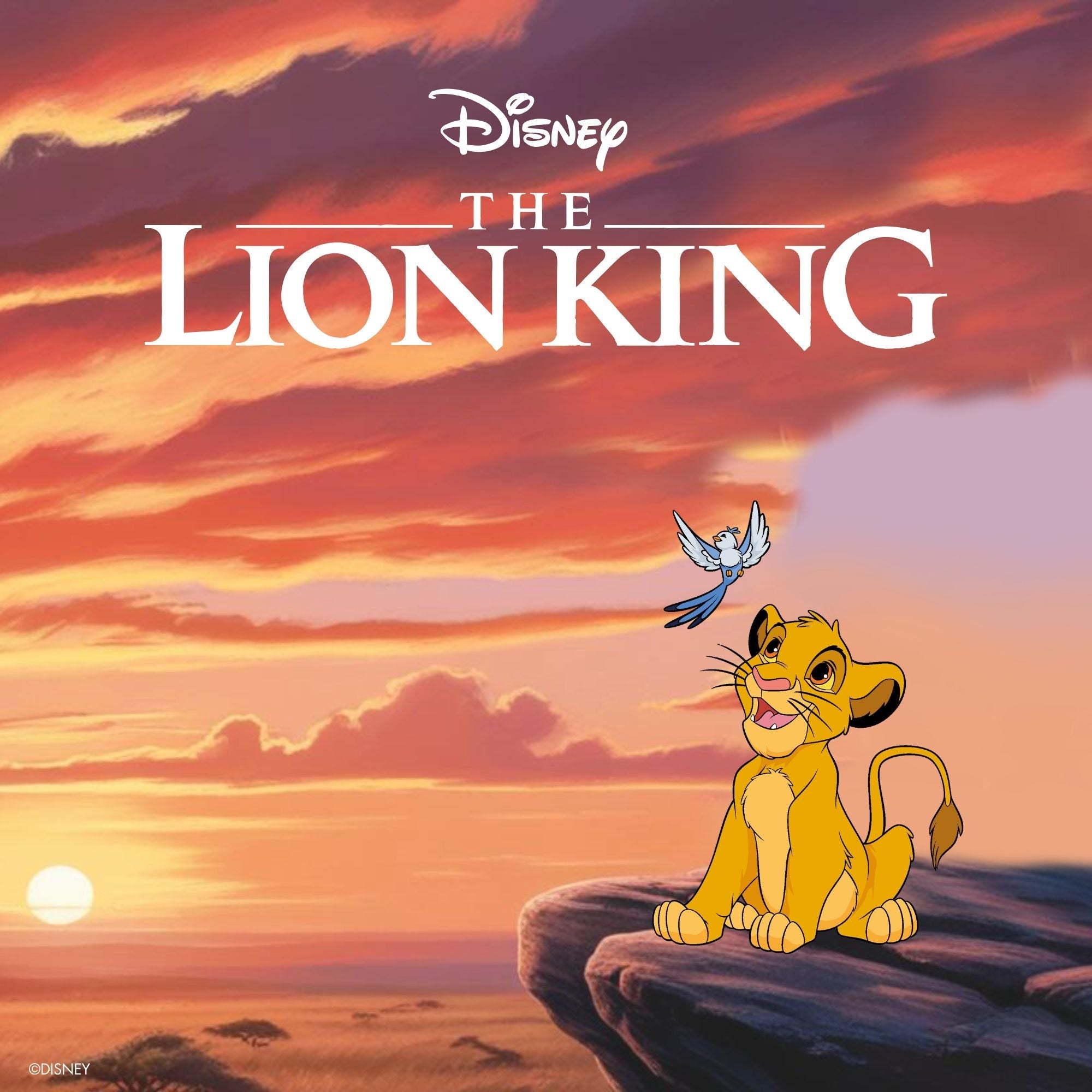 Il Re Leone - VitaMea