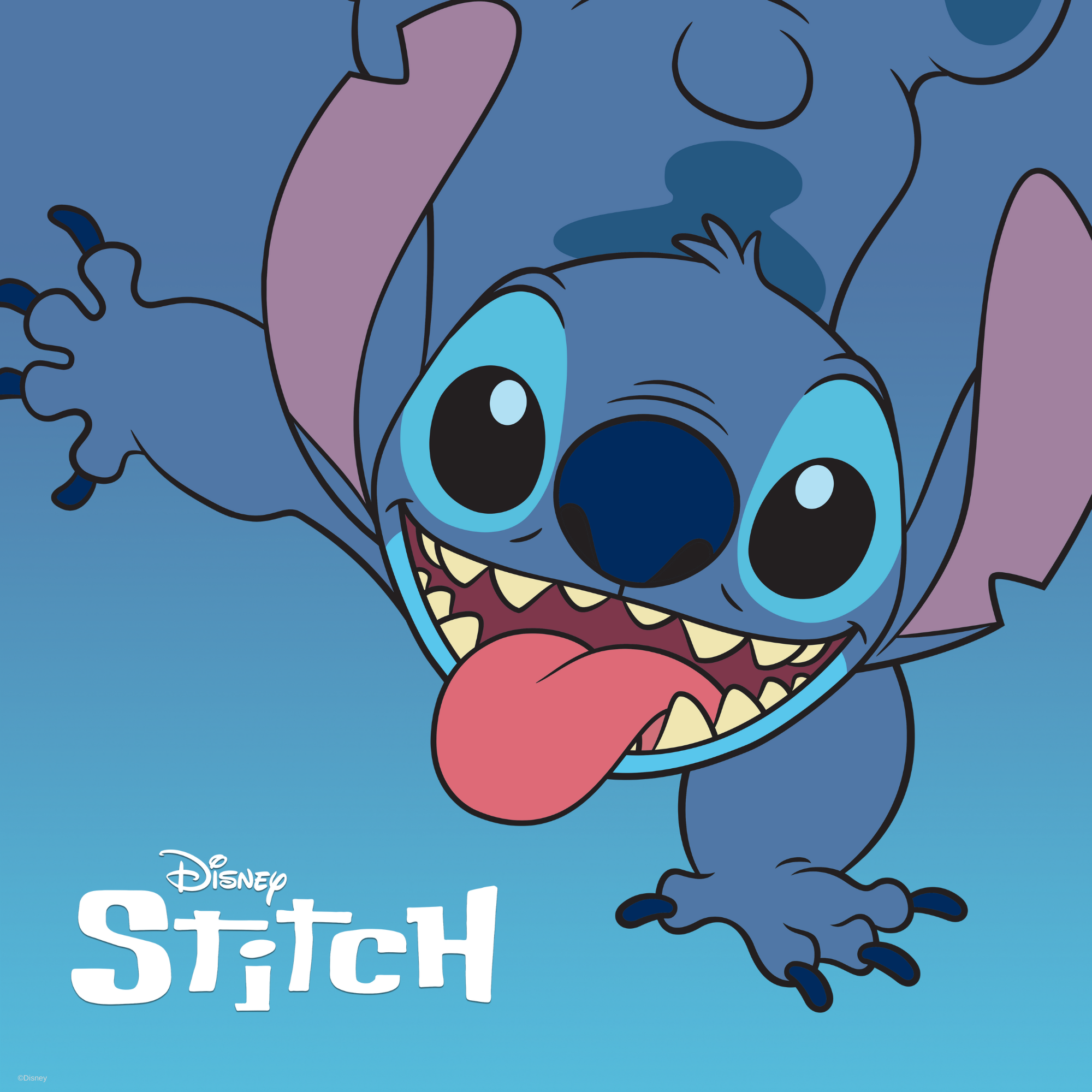 Orecchini Stitch & Angel